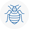 Bed Bug Extermination In Grangemouth